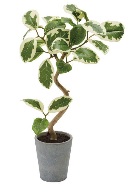 フェイクグリーン：3,800円コース